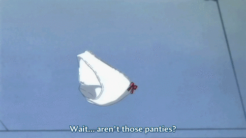 Flying_Panties